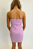 Lavender Lace Mini Dress