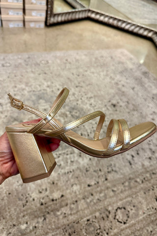Ivan Heel- Gold